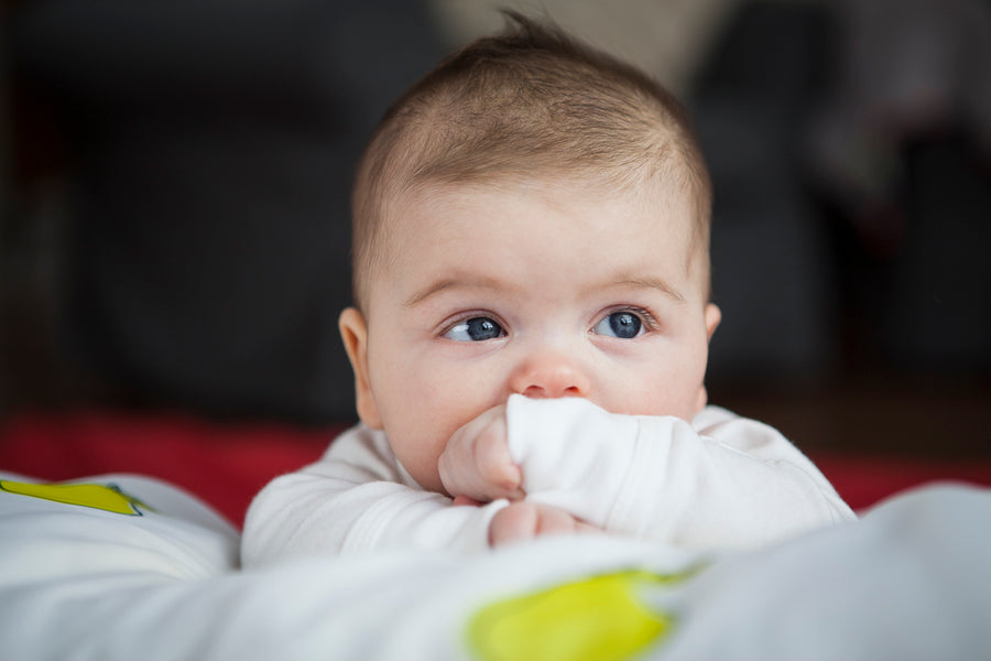 5 Gründe Baby Bodies aus GOTS zertifizierter Baumwolle zu kaufen